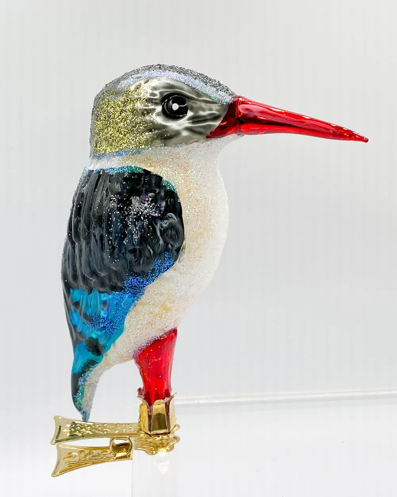 Südafrikanischer Eisvogel, Kingfisher