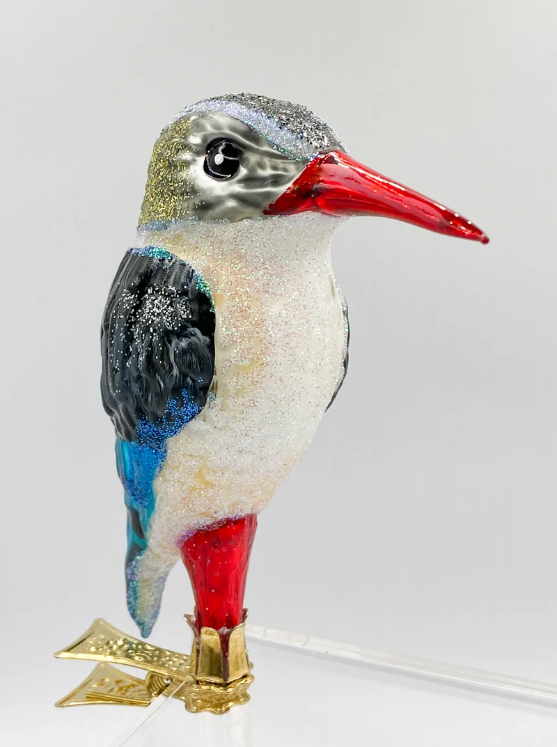 Südafrikanischer Eisvogel, Kingfisher