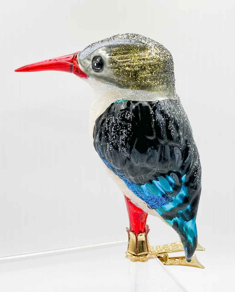 Südafrikanischer Eisvogel, Kingfisher