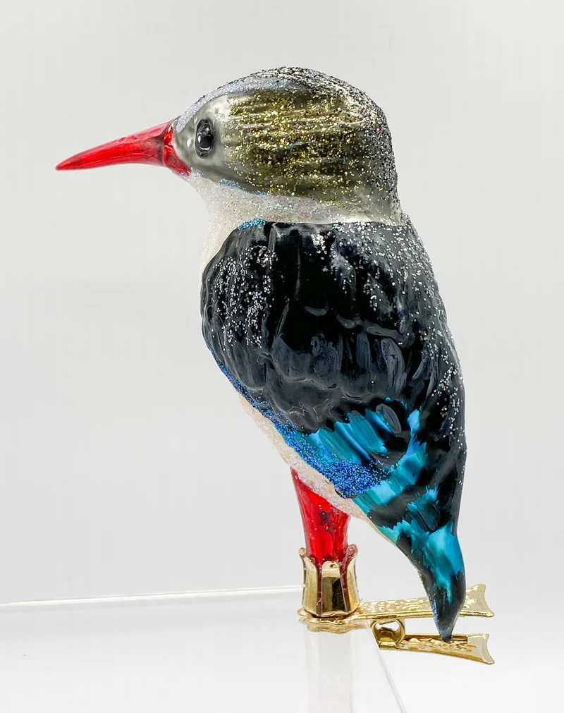 Südafrikanischer Eisvogel, Kingfisher
