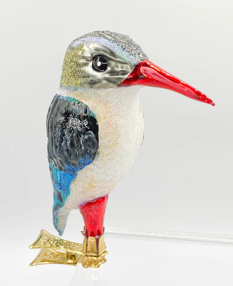 Südafrikanischer Eisvogel, Kingfisher