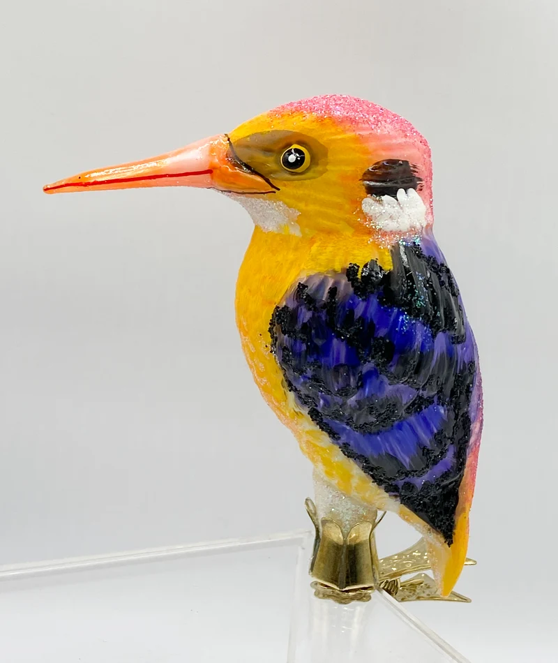 Asiatischer Zwerg-Eisvogel, Kingfisher