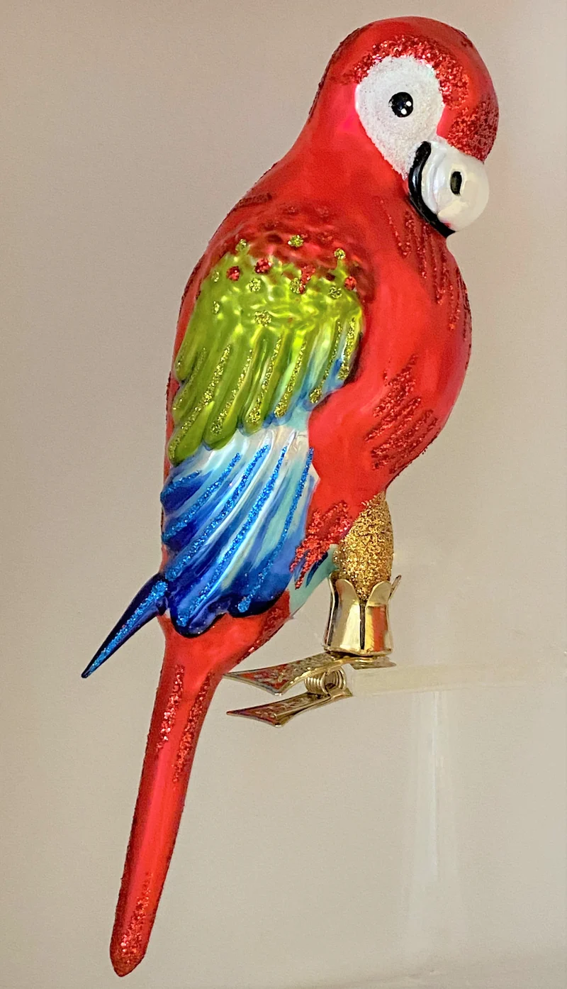 Grosser roter Papagei