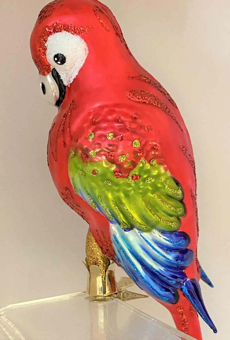 Grosser roter Papagei