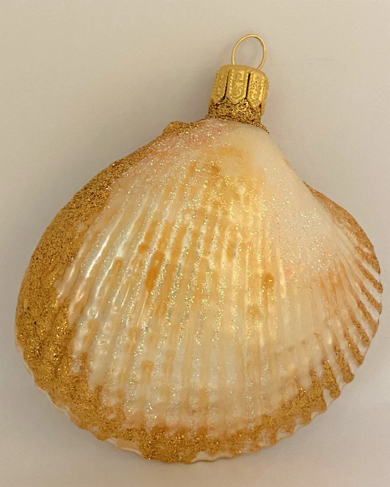 Muschel