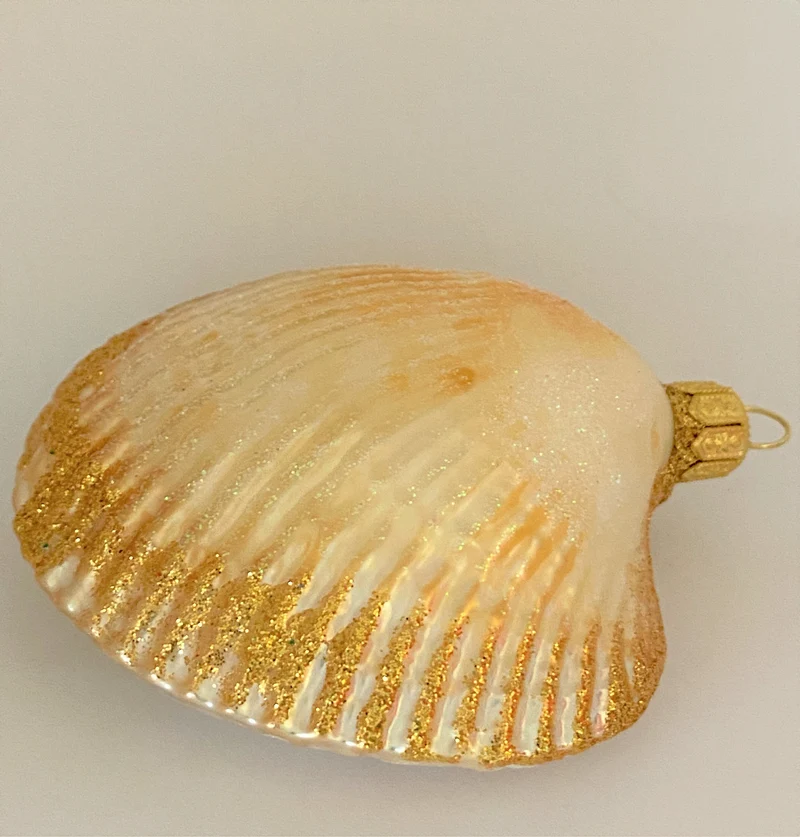Muschel