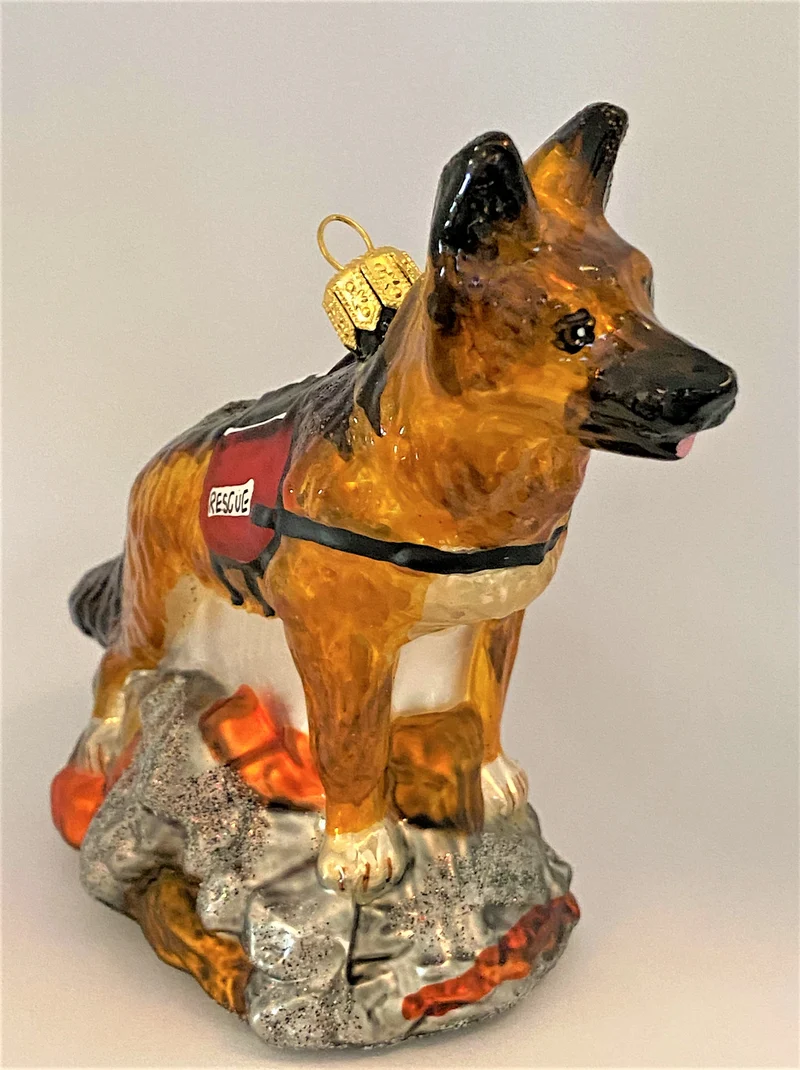 Deutscher Schäferhund Erdbeben-Suchhund