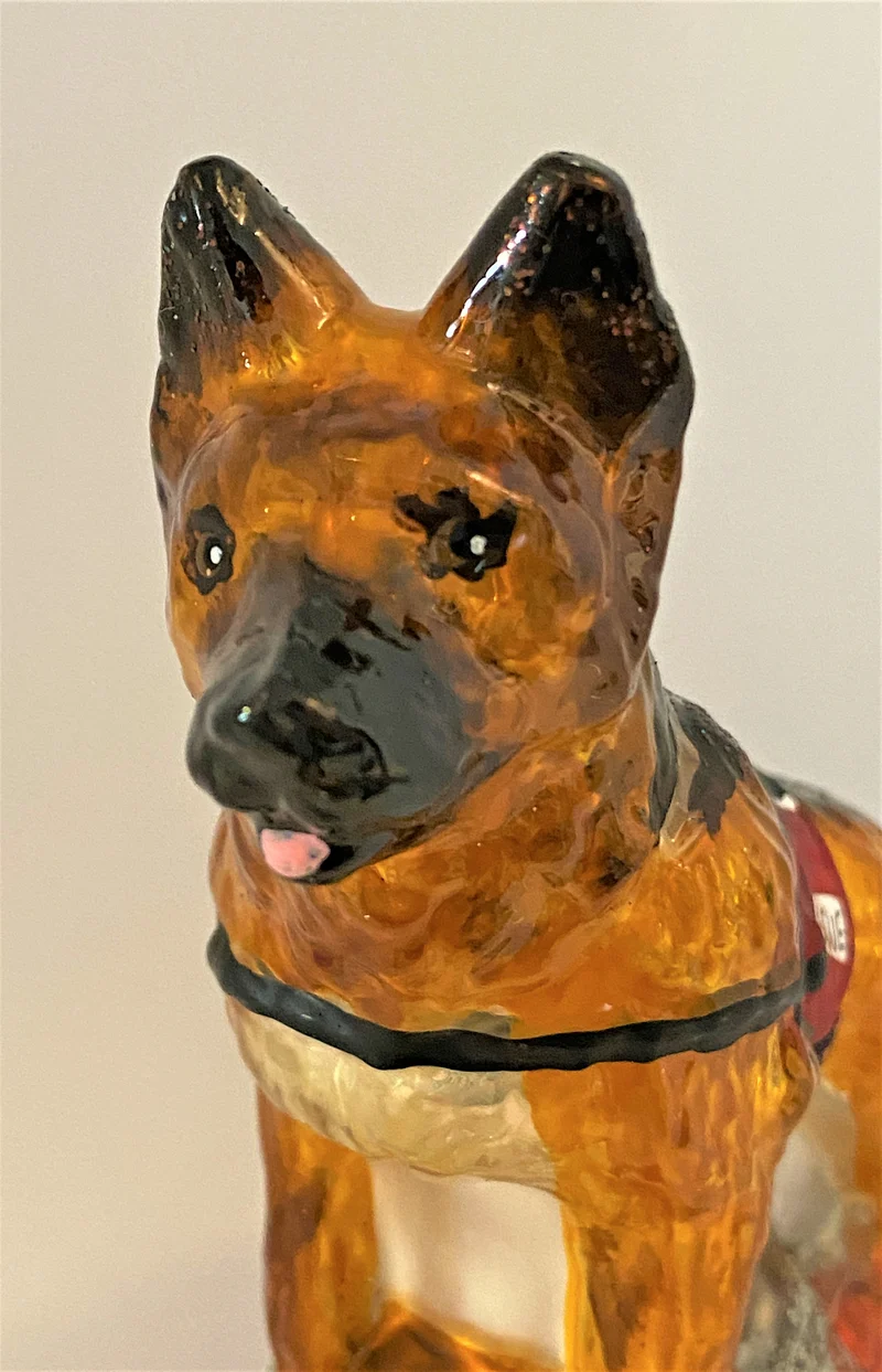 Deutscher Schäferhund Erdbeben-Suchhund