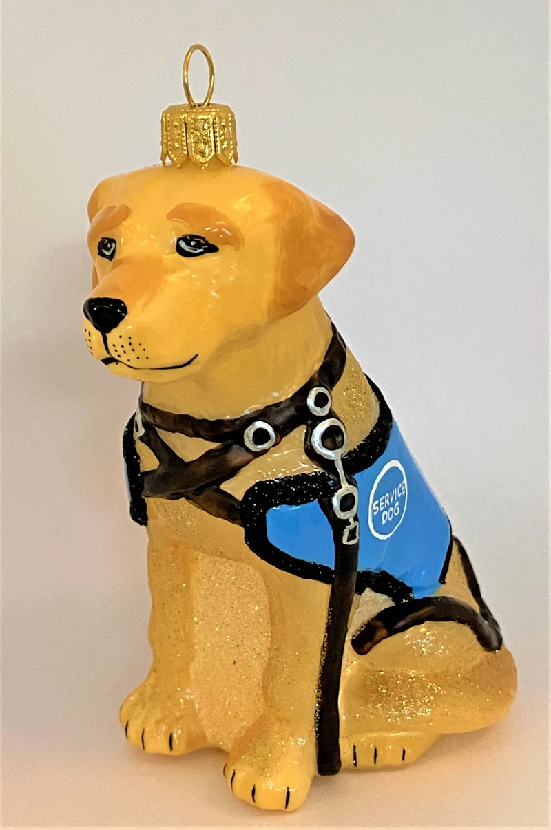 Retriever Blindenhund, Service Dog