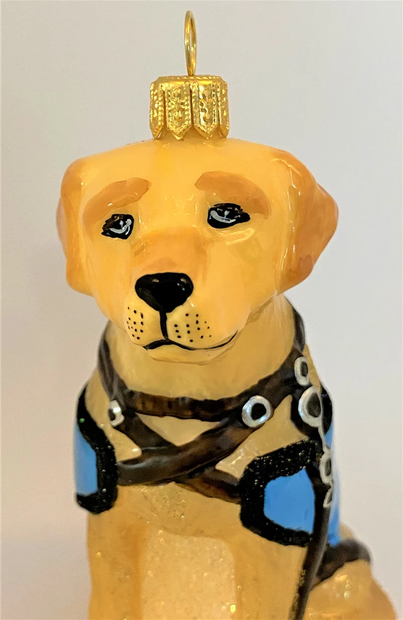 Retriever Blindenhund, Service Dog