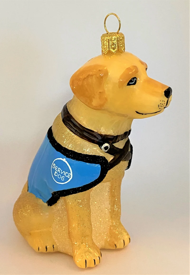 Retriever Blindenhund, Service Dog