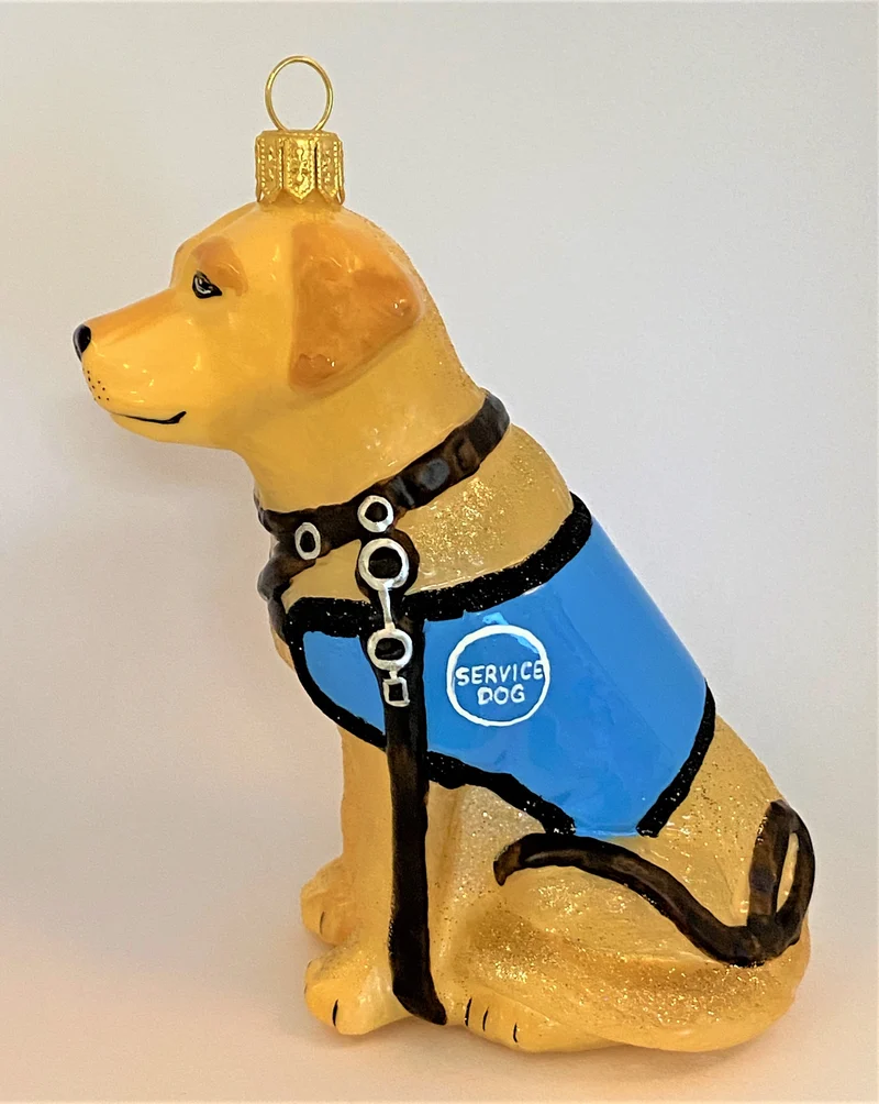 Retriever Blindenhund, Service Dog