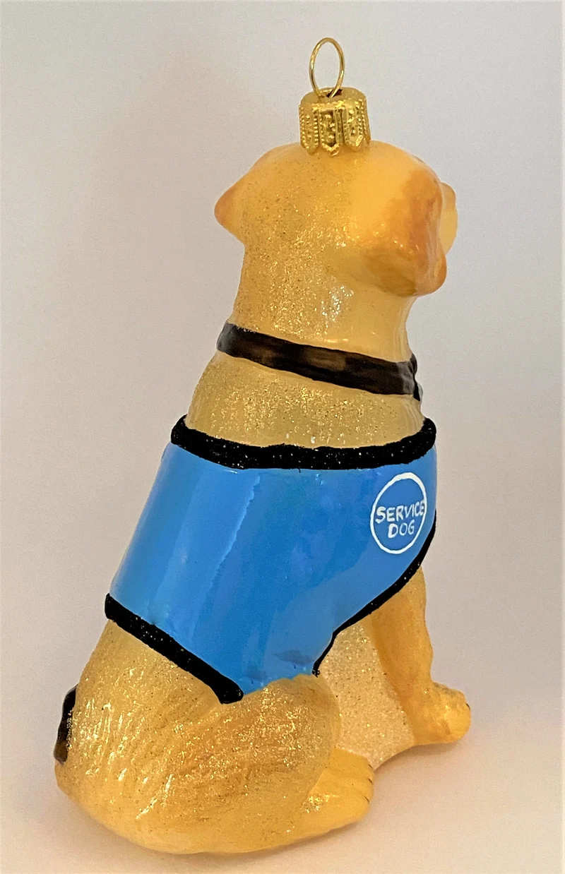 Retriever Blindenhund, Service Dog