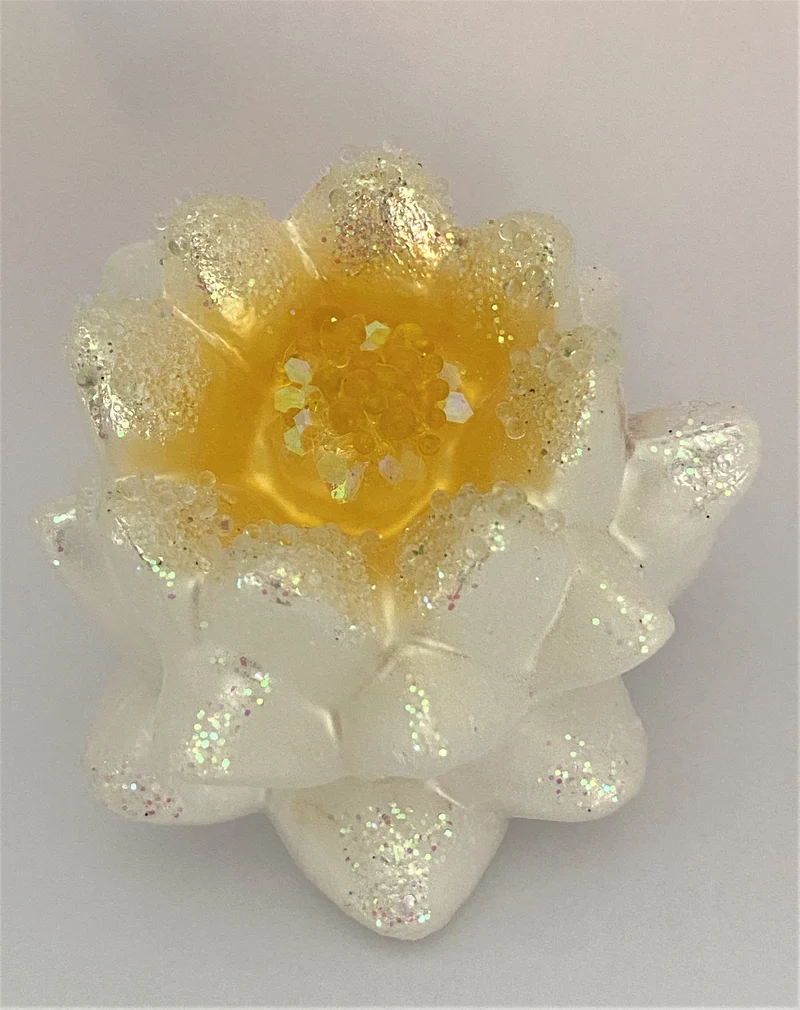 Weisse Seerose, Wasserlilie, Lotusblume