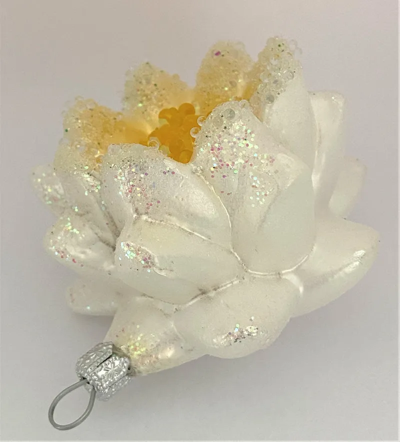 Weisse Seerose, Wasserlilie, Lotusblume