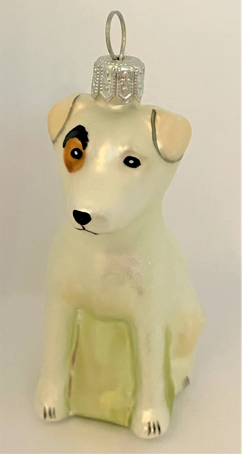 Sitzender Jack Russel