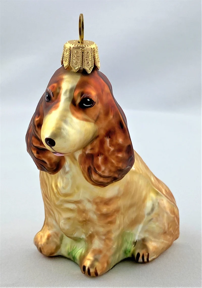 Brauner Cocker Spaniel
