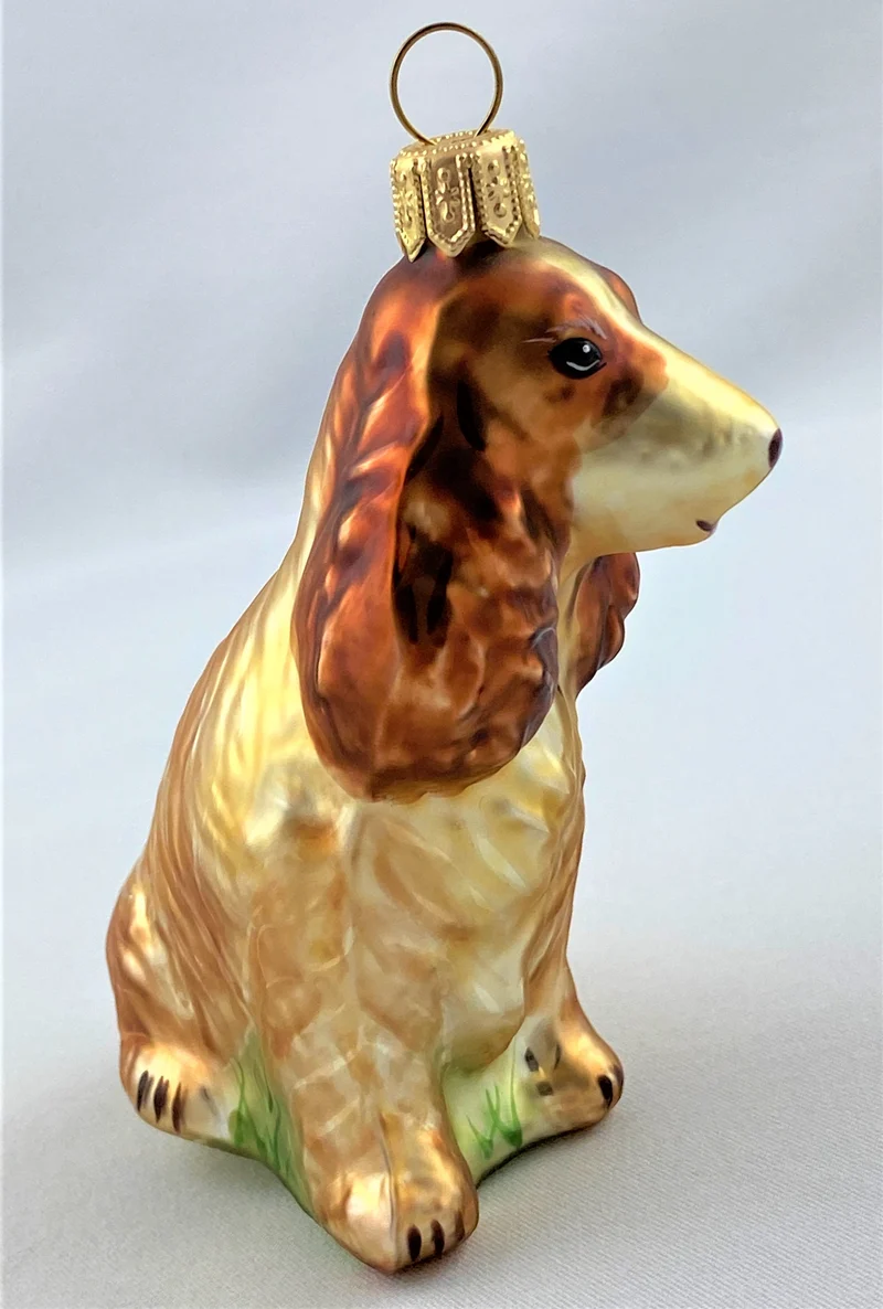 Brauner Cocker Spaniel