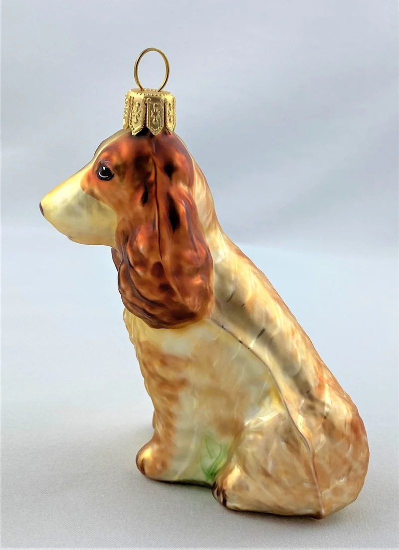 Brauner Cocker Spaniel