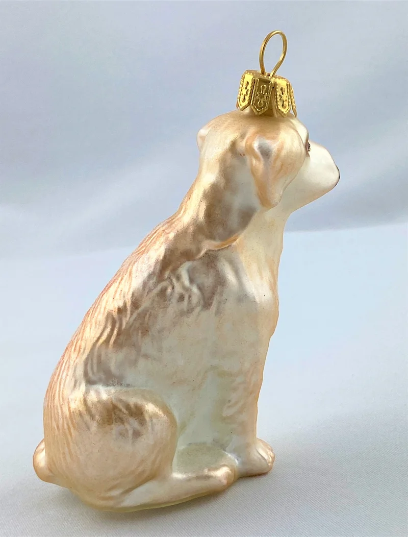Labrador, gelb