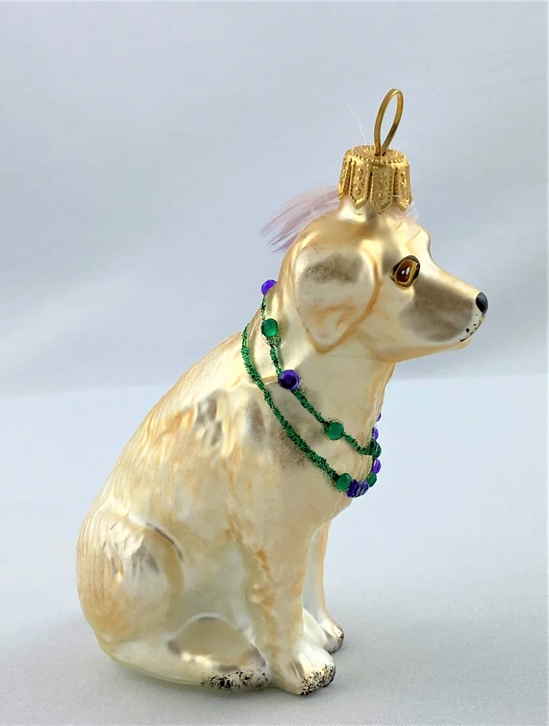 Verspielter Labrador