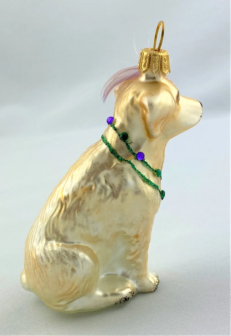 Verspielter Labrador