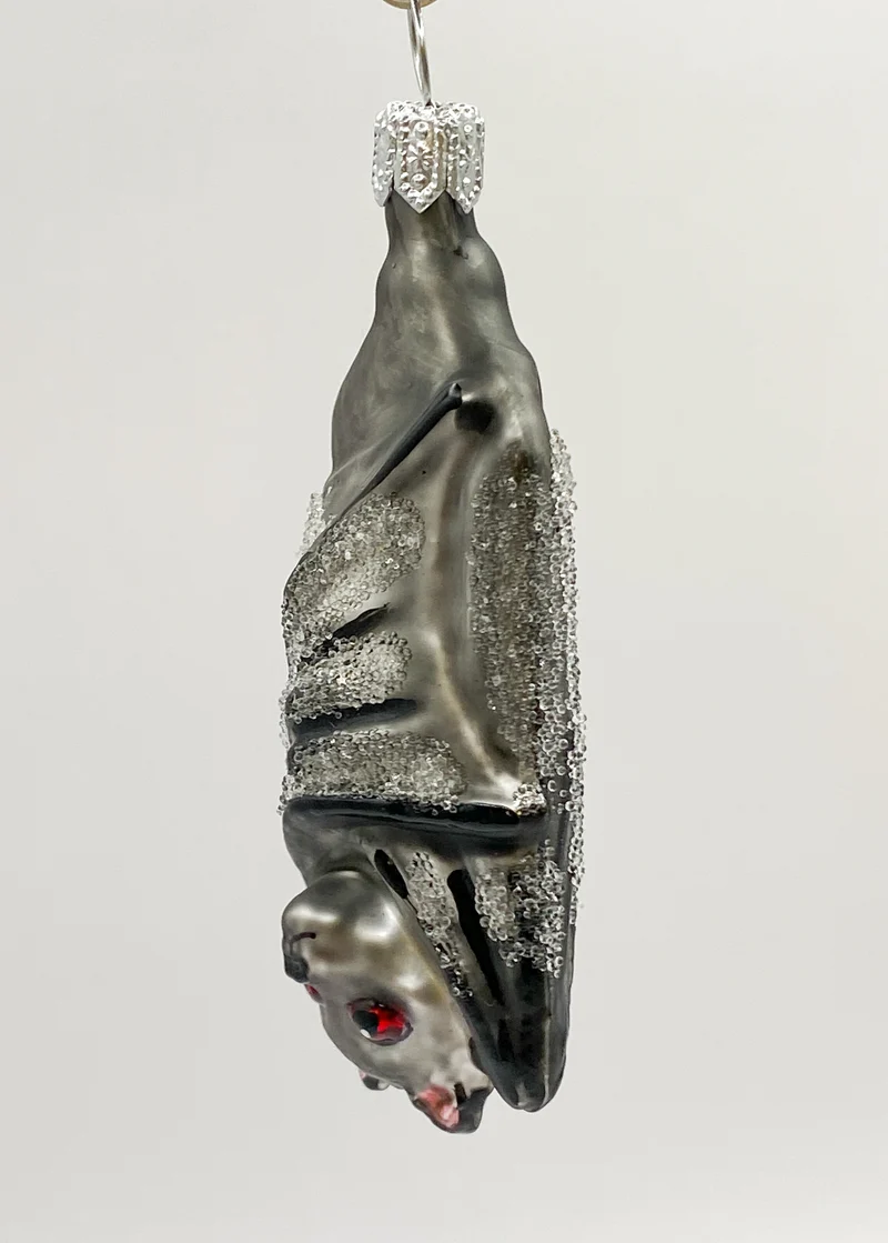 Kleine freundliche Fledermaus