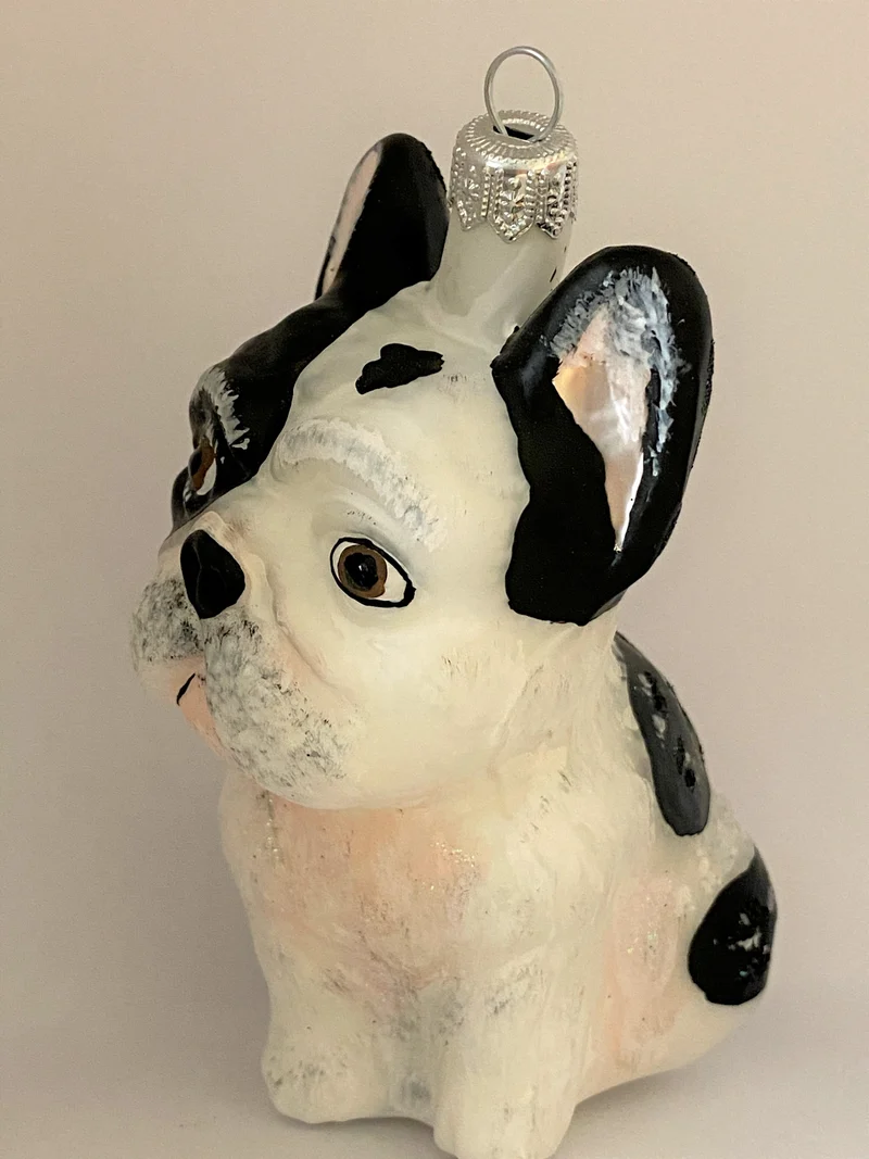 Grosse französische Bulldogge