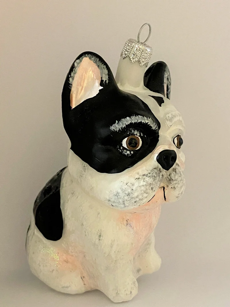 Grosse französische Bulldogge