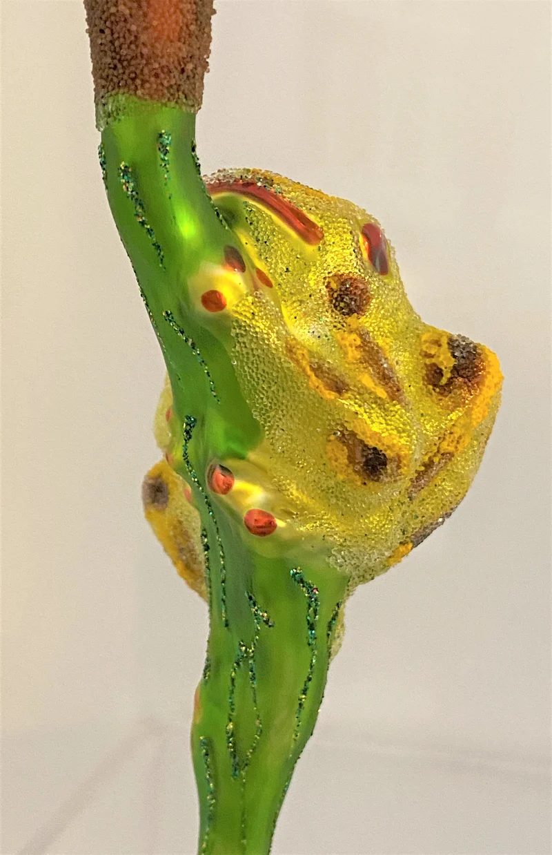 Getupfter Frosch klettert am Rohrschilf