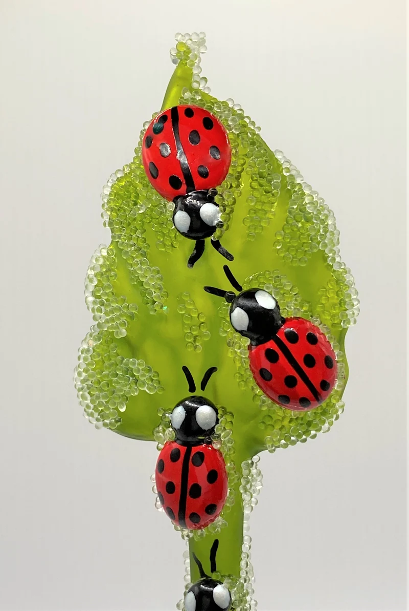 Marienkäferchen krabbeln am Blatt, Glücks-Käfer
