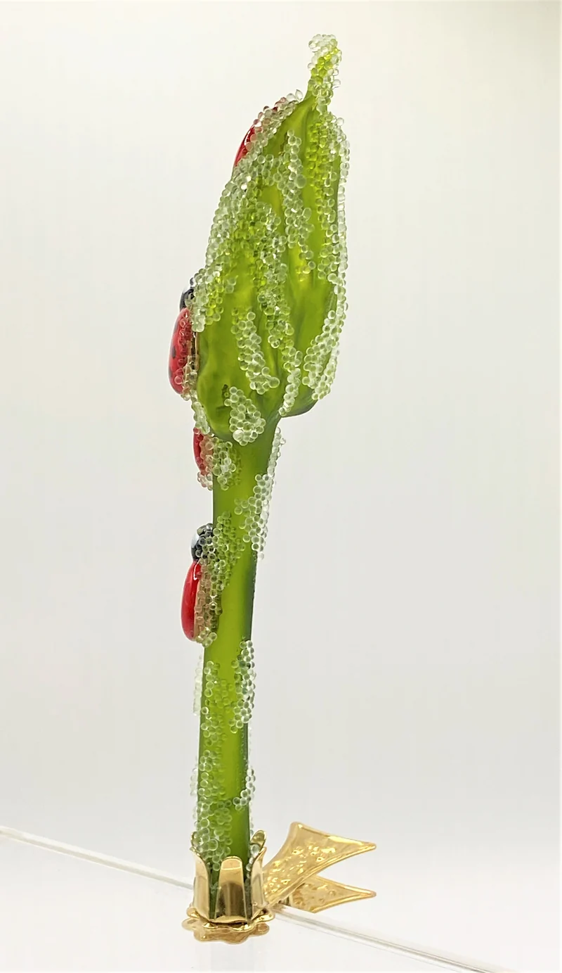 Marienkäferchen krabbeln am Blatt, Glücks-Käfer