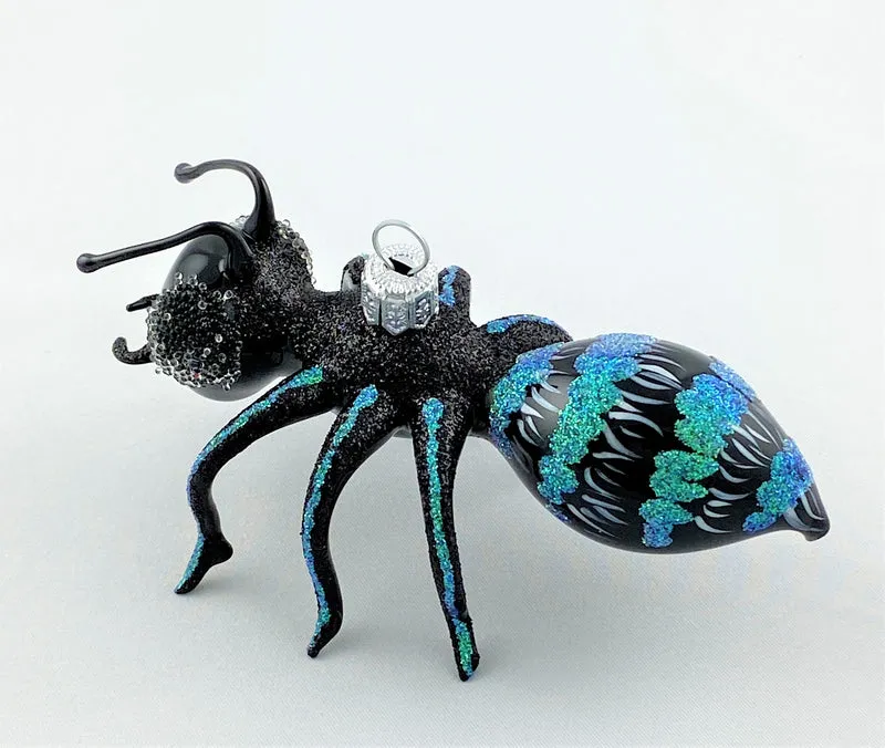Schwarze Ameise