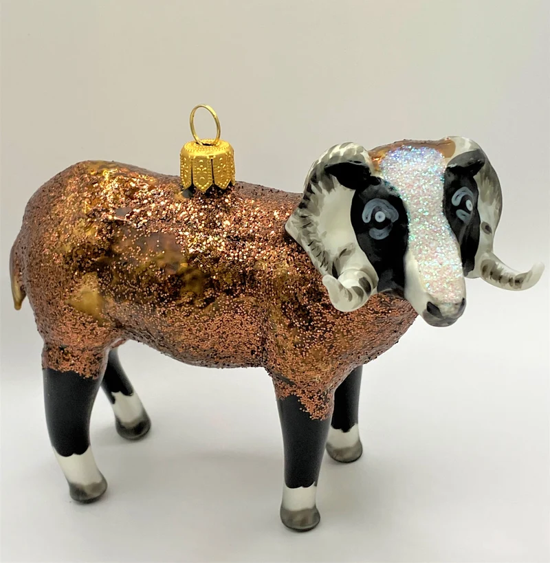 Brauner Widder
