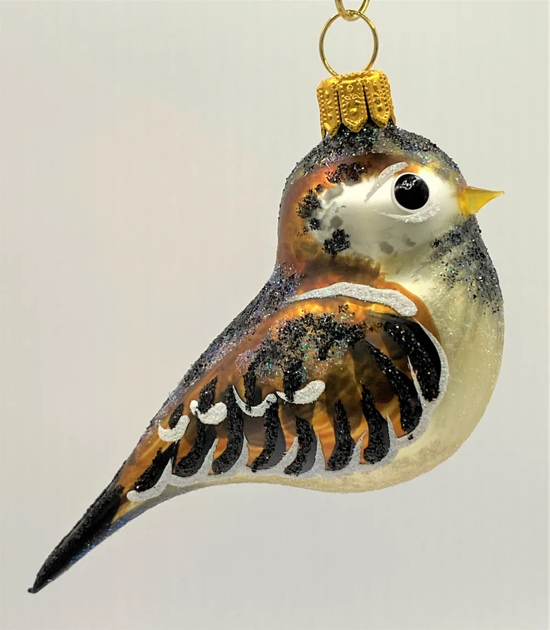 Kleiner Spatz