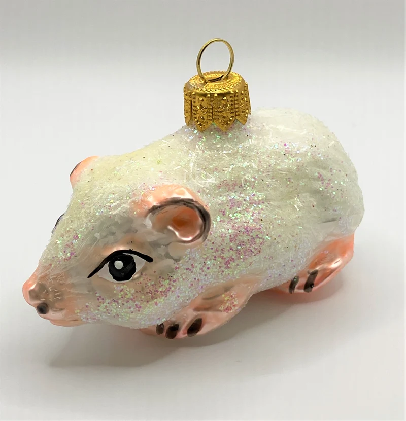 Weisses Meerschweinchen