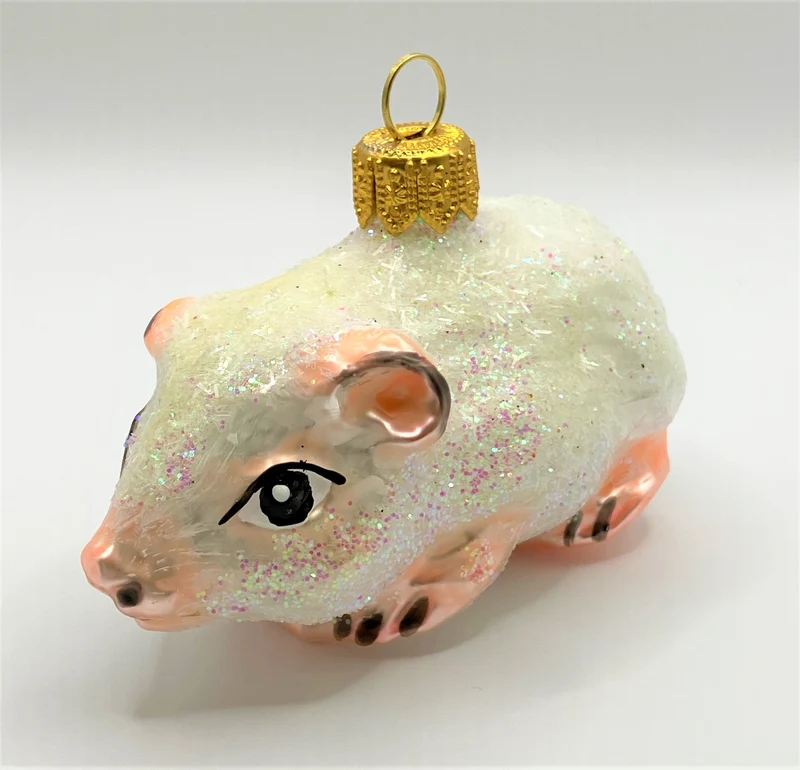 Weisses Meerschweinchen