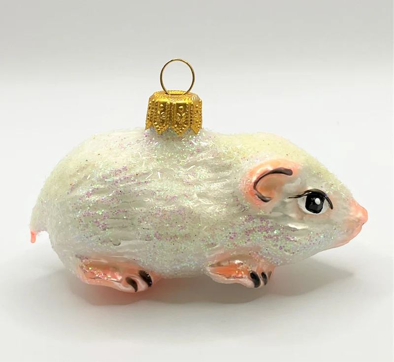 Weisses Meerschweinchen