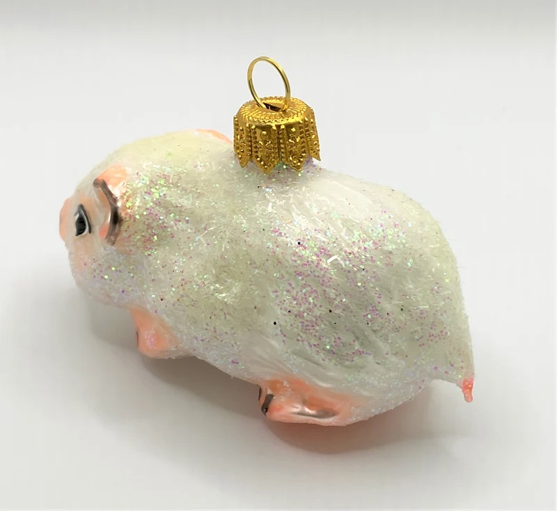 Weisses Meerschweinchen