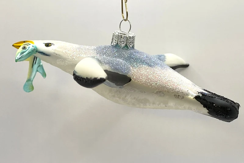 Grosse Möwe mit Fisch im Schnabel