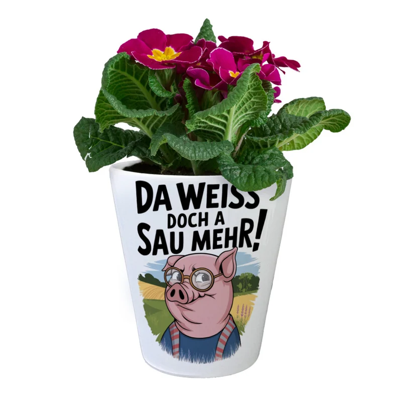 Cartoon Sau mit Brille Blumentopf A Sau weiß mehr