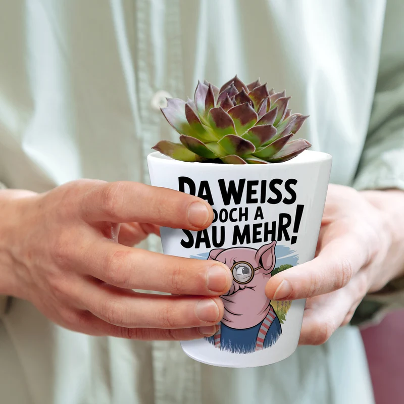 Cartoon Sau mit Brille Blumentopf A Sau weiß mehr