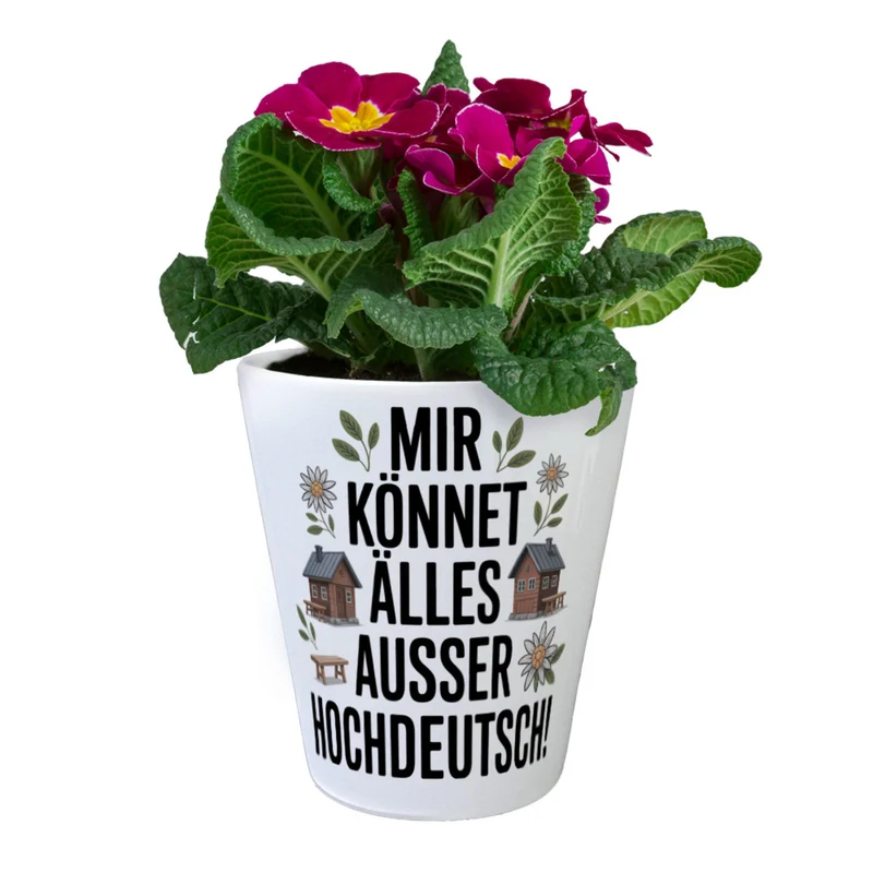 Mir könnet älles außer Hochdeutsch Blumentopf Schwäbisch