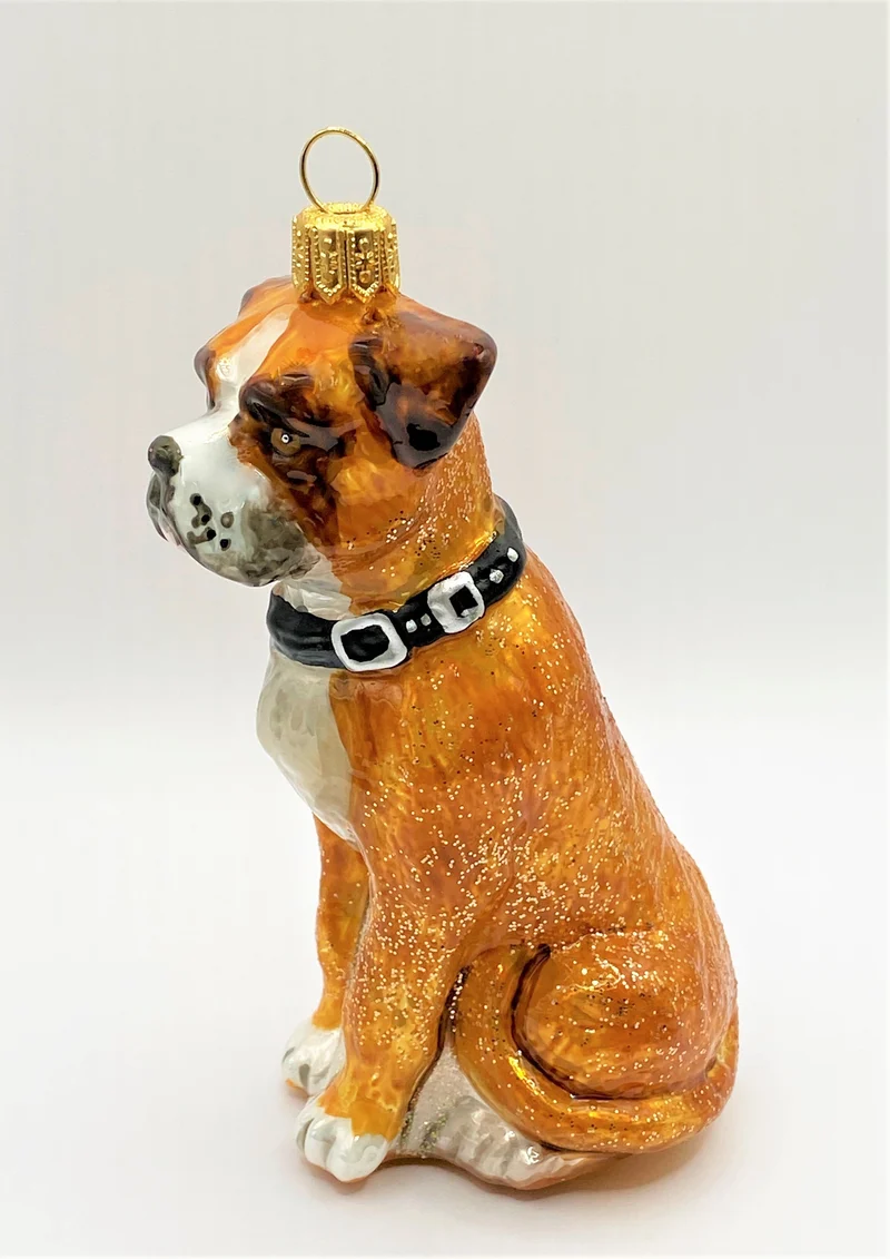 Boxer-Hund