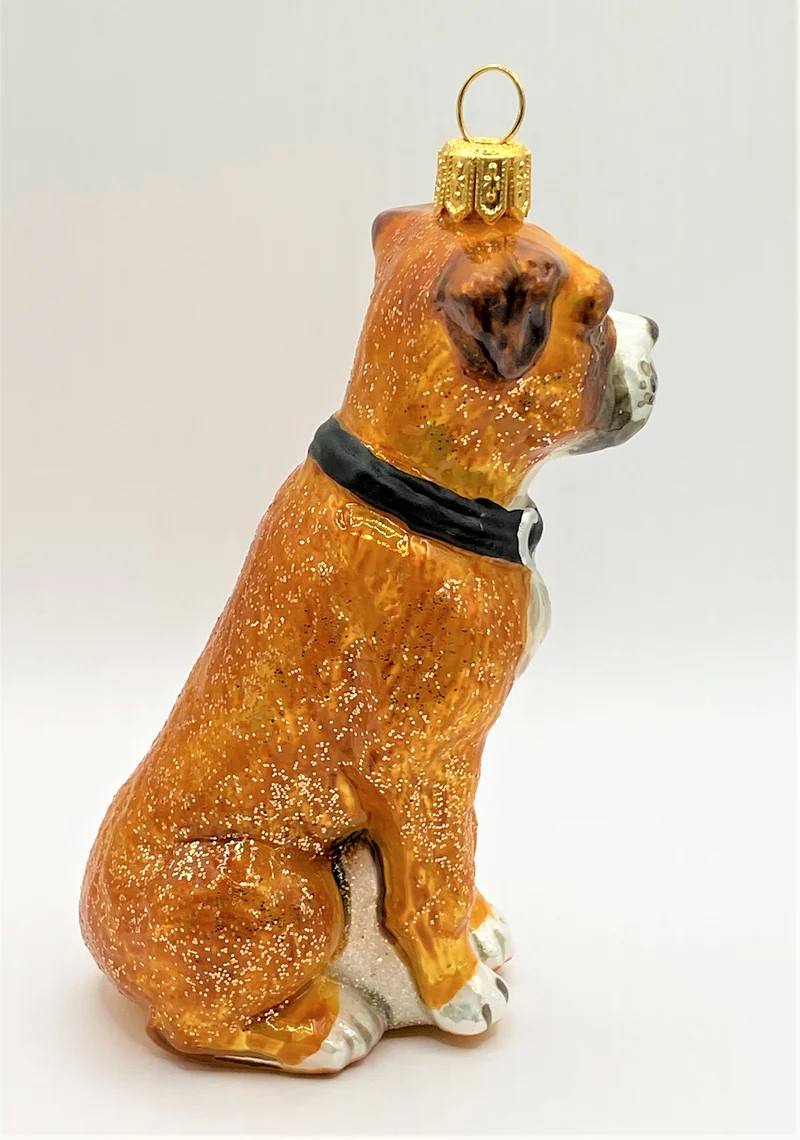 Boxer-Hund