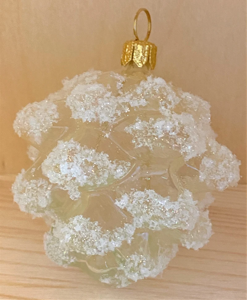 Transparenter Föhren-Zapfen mit Frostglimmer