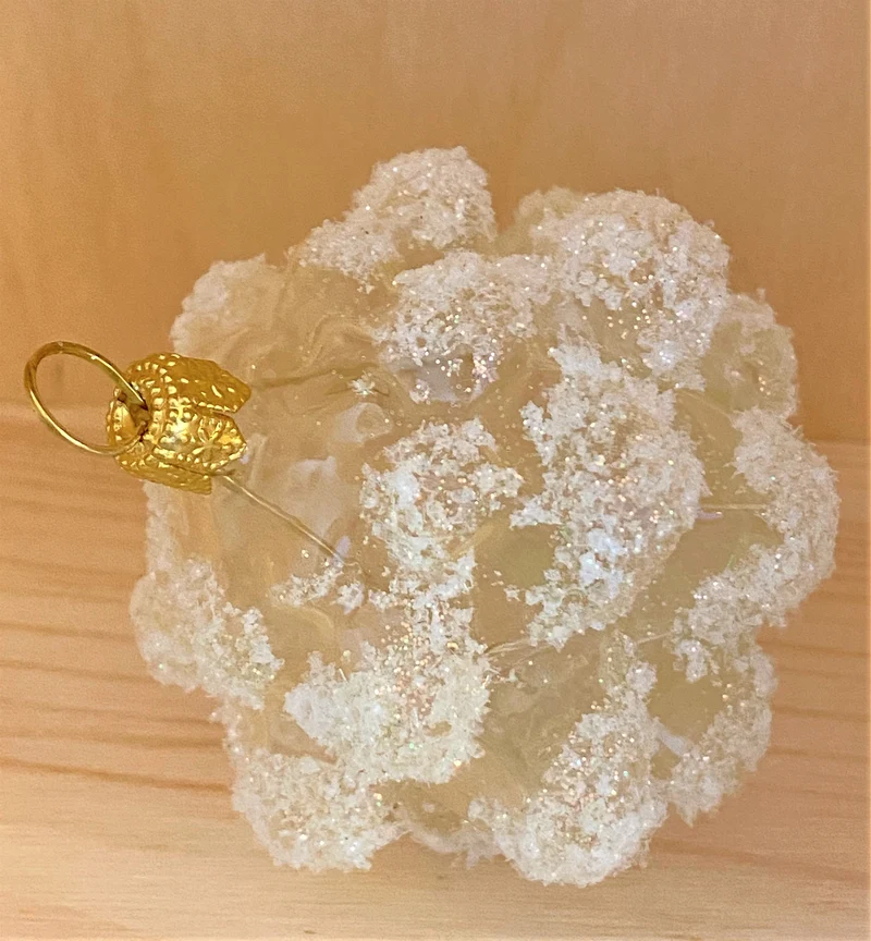 Transparenter Föhren-Zapfen mit Frostglimmer