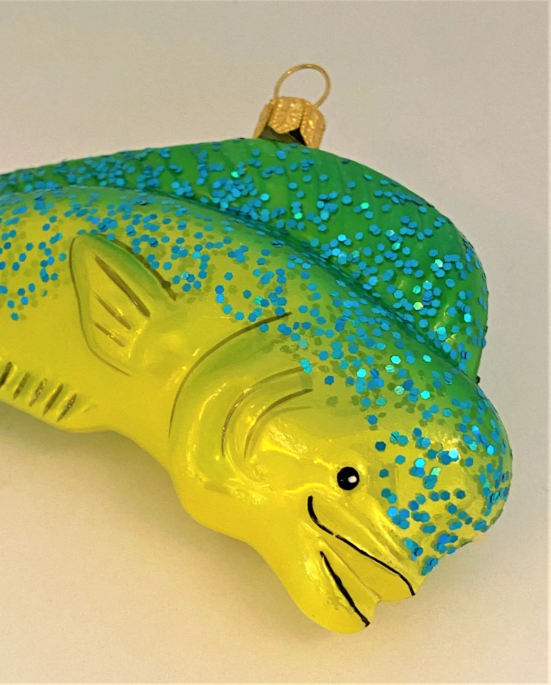 Pazifischer Mahi Mahi Delfin