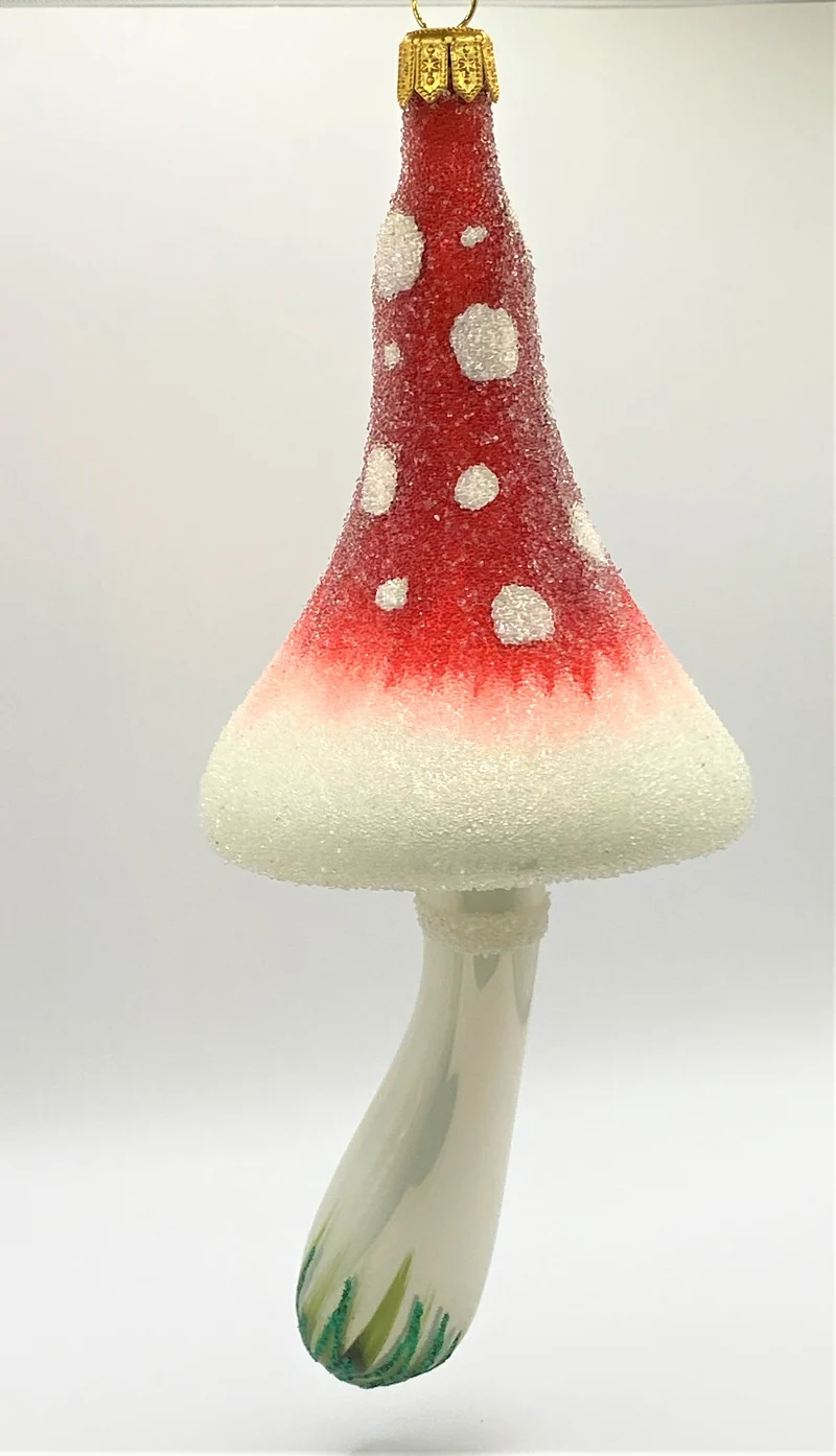 Grosser schmaler Fliegenpilz