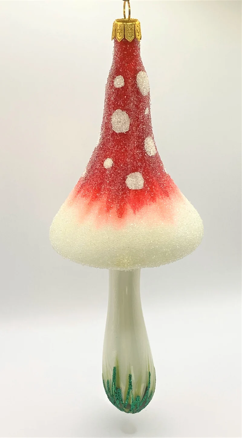 Grosser schmaler Fliegenpilz